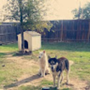 Meet your Posher, Paula